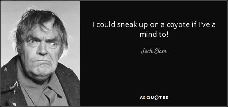 Jack Elam
