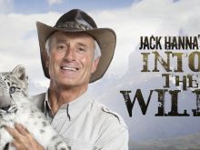 Jack Hanna