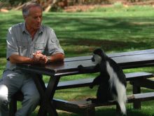 Jack Hanna