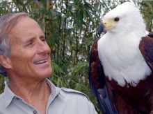 Jack Hanna