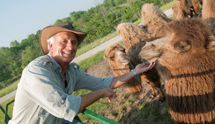 Jack Hanna