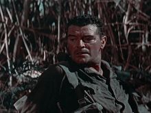 Jack Hawkins photo