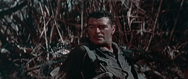 Jack Hawkins