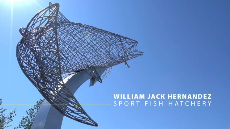 Jack Hernandez