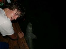 Jack Prince