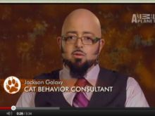 Jackson Galaxy