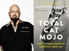 Jackson Galaxy