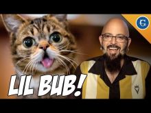 Jackson Galaxy