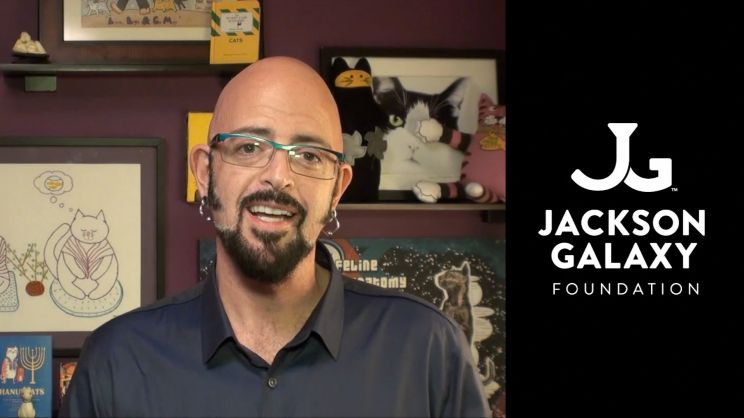 Jackson Galaxy