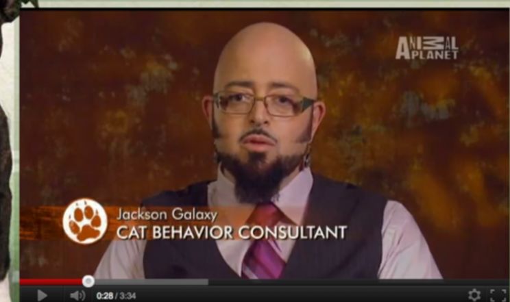 Jackson Galaxy