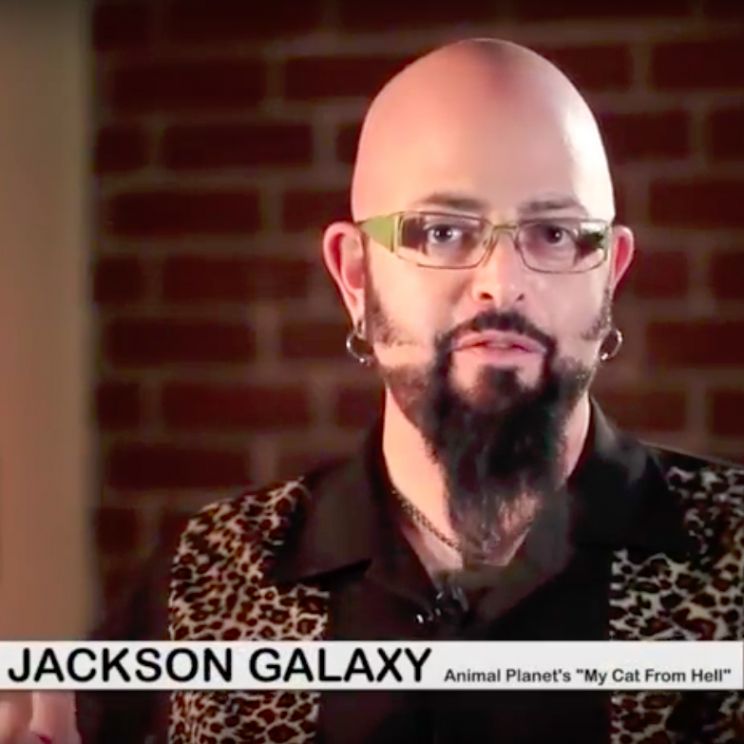 Jackson Galaxy