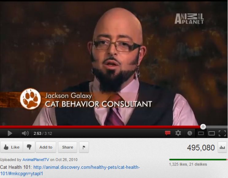 Jackson Galaxy