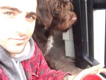 Jacob Hoggard #2551777 picture (Landscape Medium)