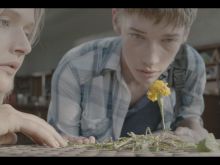 Jacob Lofland #396943 picture (Landscape Medium)