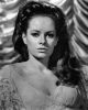 Jacqueline deWit