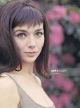 Jacqueline Pearce