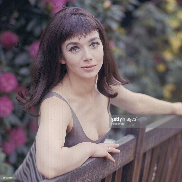 Jacqueline Pearce