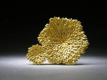 Jacqueline Ryan