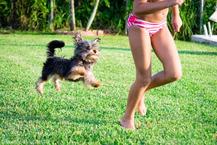 Jagger Chase