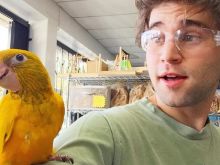Jake Borelli