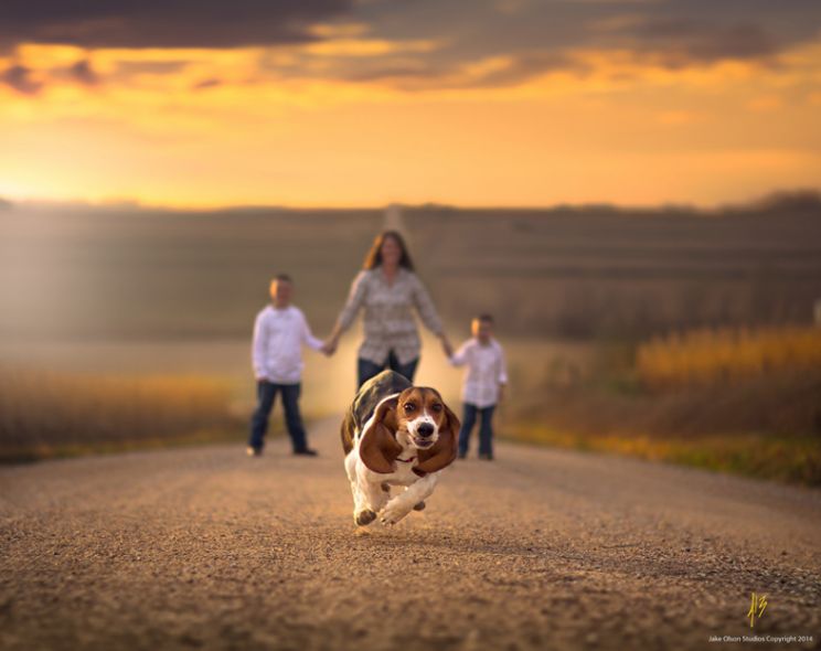 Jake Olson