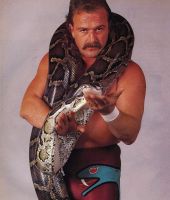 Jake Roberts