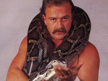 Jake Roberts