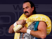 Jake Roberts