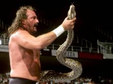 Jake Roberts