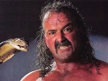 Jake Roberts