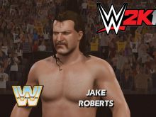 Jake Roberts