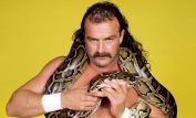 Jake Roberts