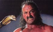 Jake Roberts