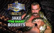 Jake Roberts