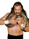 Jake Roberts