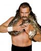Jake Roberts