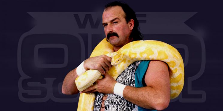 Jake Roberts