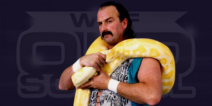 Jake Roberts