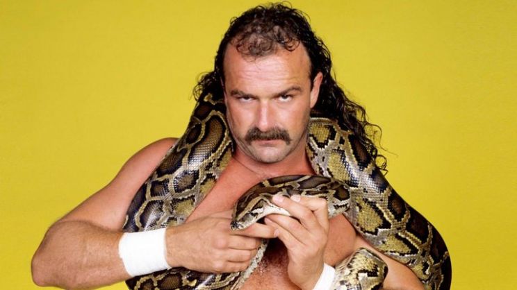 Jake Roberts