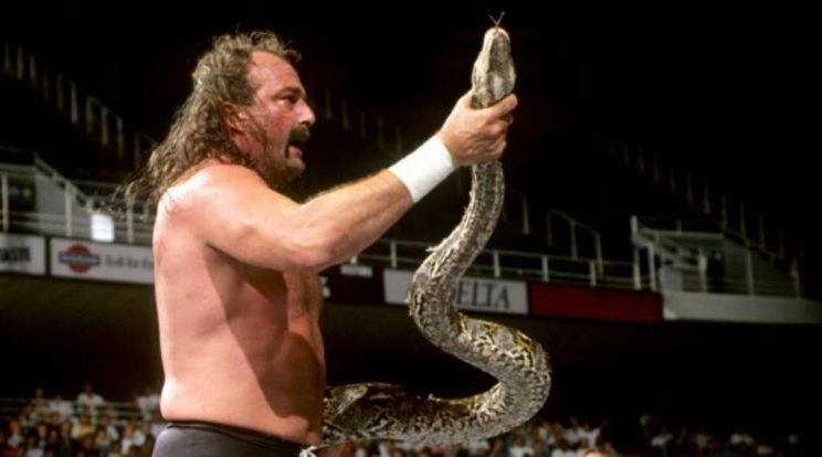 Jake Roberts