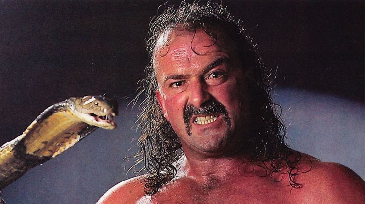 Jake Roberts