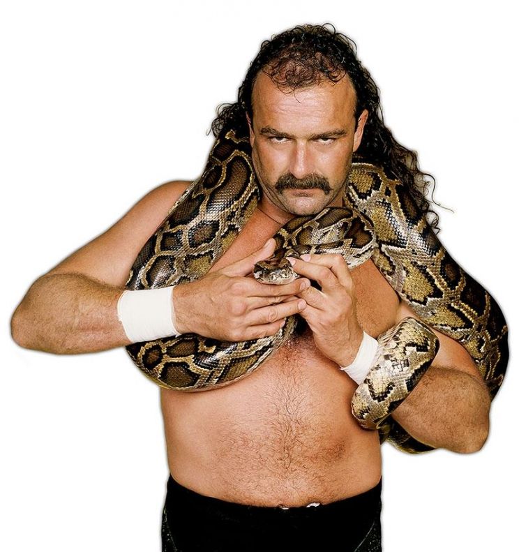 Jake Roberts