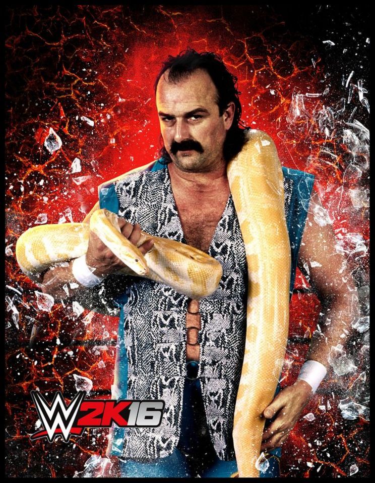 Jake Roberts