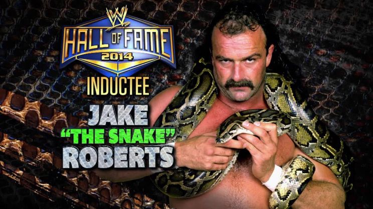 Jake Roberts