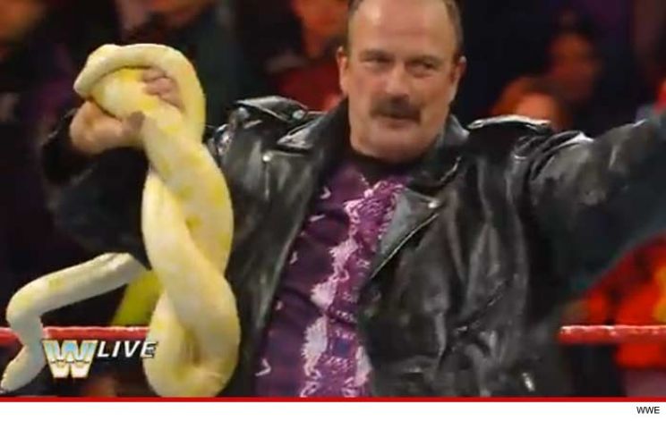 Jake Roberts