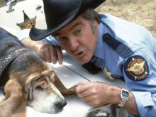 James Best