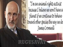 James Cromwell #131439 picture (Landscape Medium)