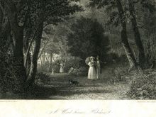 James Smillie #3428839 picture (Landscape Medium)