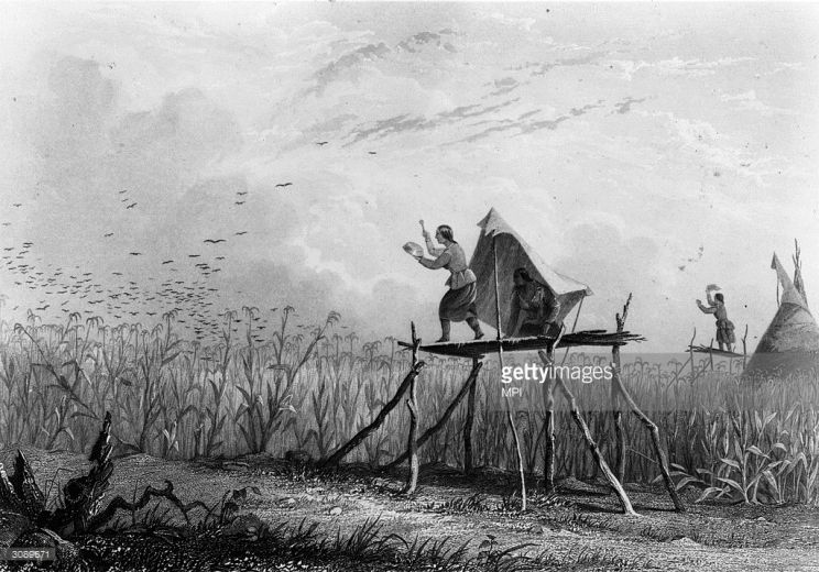 James Smillie