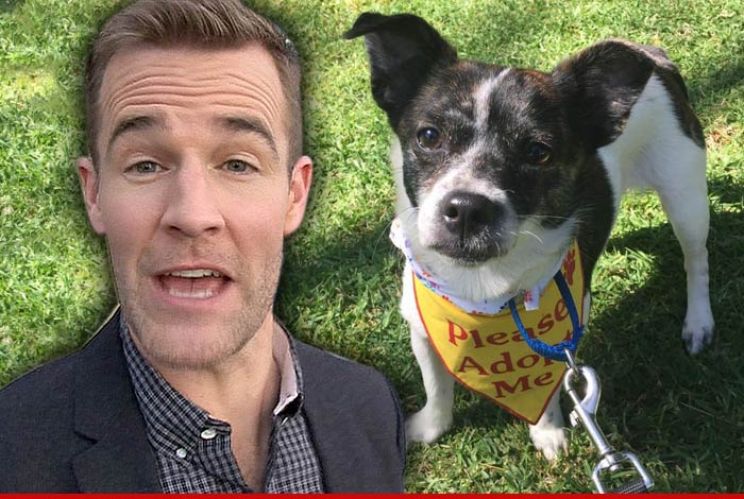 James Van Der Beek